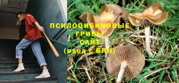 меф VHQ Каменногорск