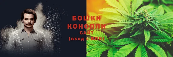 твердый Касимов