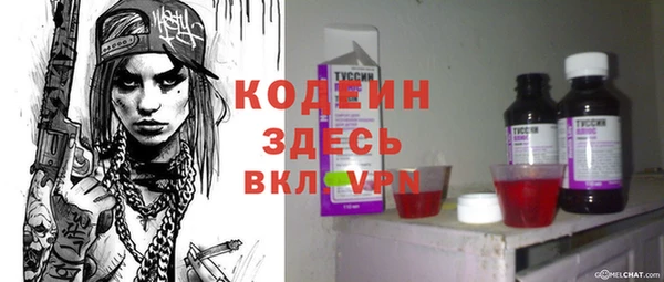 мет Каменка